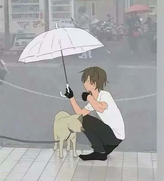 日本网友见到雨中的柴犬主动上前撑伞挡雨路人做成感人漫画