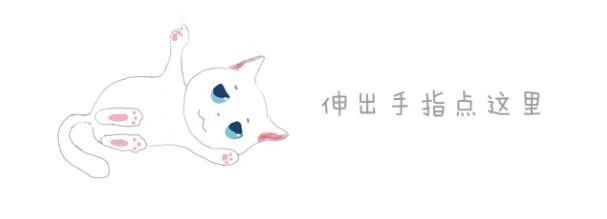 铲屎官养了只布偶猫，没想到全家都沦陷了，老爹：猫猫来抱一下！