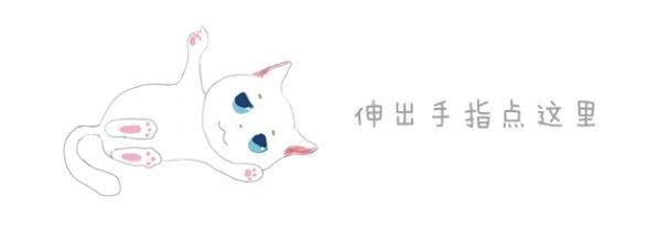 橘猫清空地主余粮，无奈上街卖惨，猫咪：生活不易，猫猫卖艺