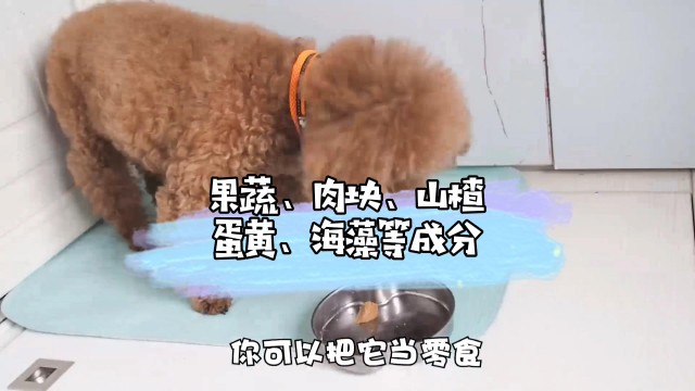 狗狗挑食不爱吃狗粮这颗蛋专治挑食狗